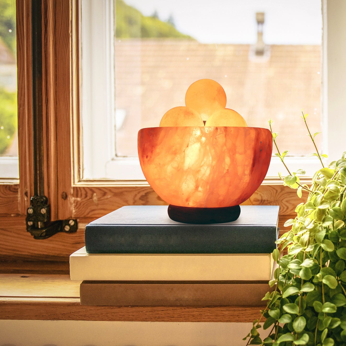 Natural Himalayan Rock Sea Salt Lamp Bowl with 6 Heated Salt