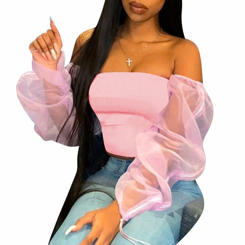 Women Clothing Fashion Casual Long Sleeve Multi-Color Sheer Top