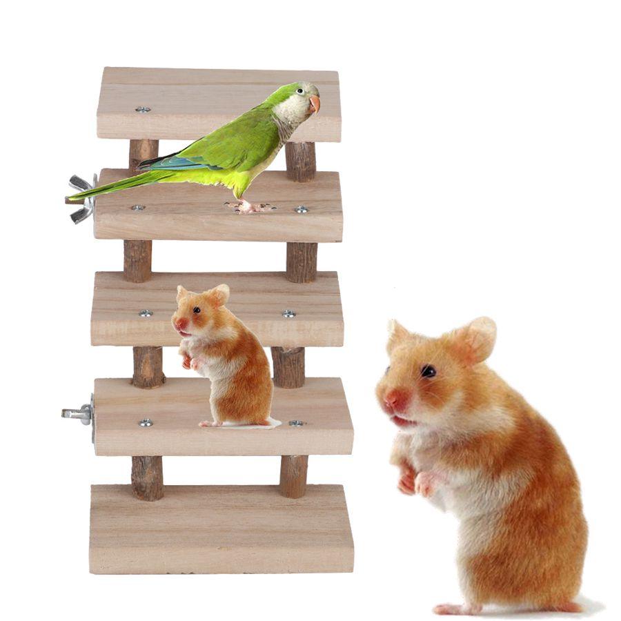 Wooden Pet Staircase Toy: A Fun And Functional Way To Keep Your Pet