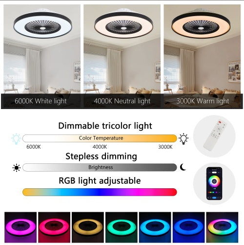 Fan Light