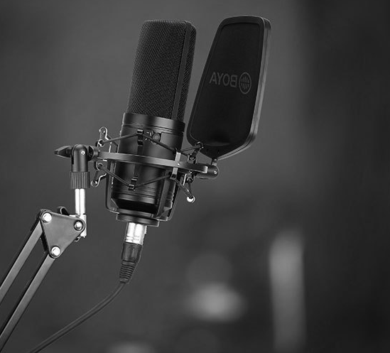 Condenser Mic Big Diaphragm K Music PC Phone Recording Mic