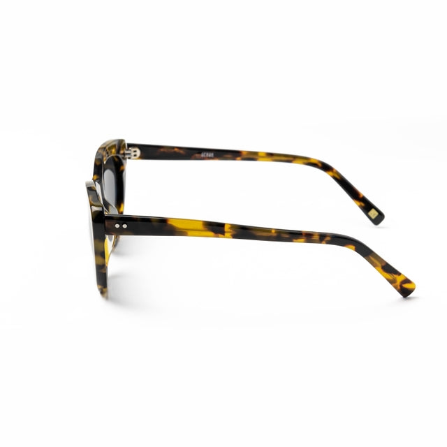 OCEAN GLASSES KIMBERLEY
