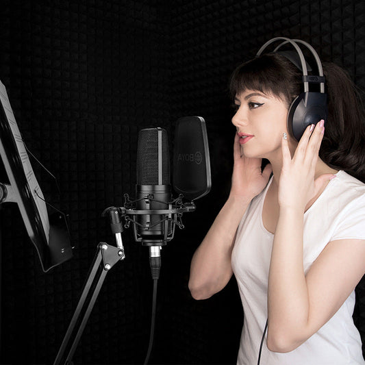 Condenser Mic Big Diaphragm K Music PC Phone Recording Mic
