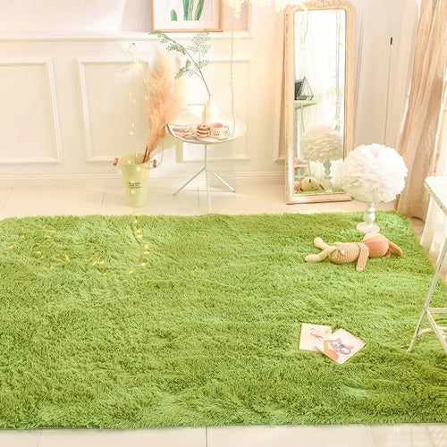 Plush Carpet Living Room Sofa Coffee Table Rug Green Pink Fluffy Soft