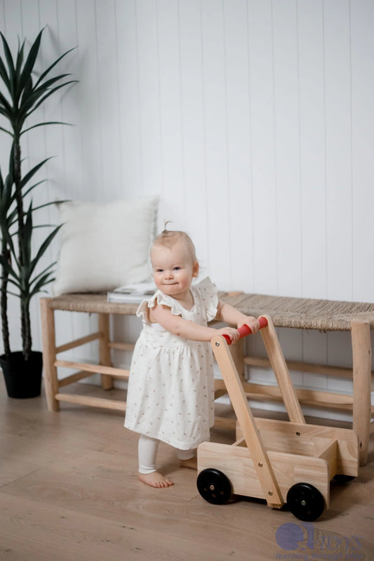 QToys Australia  CLASSIC BABY WALKER